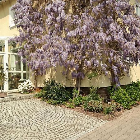 Pension Franzbaecker واربورغ المظهر الخارجي الصورة